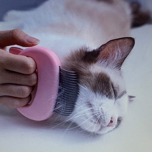 Pack cat grooming comb and - 2-pack,