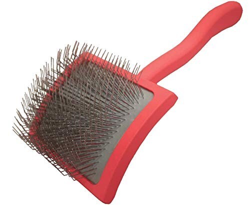 Brush for dog - dog,, slicker