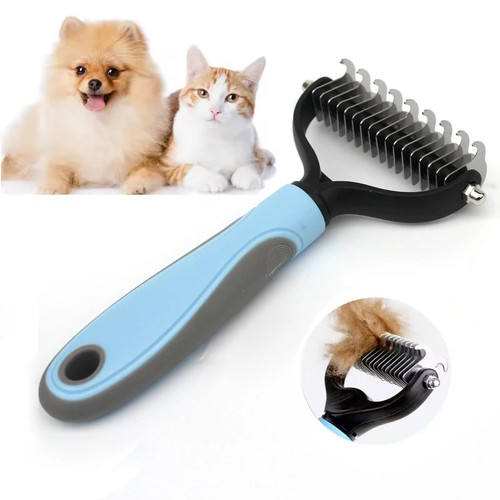 Pet cat dog - pet, fur